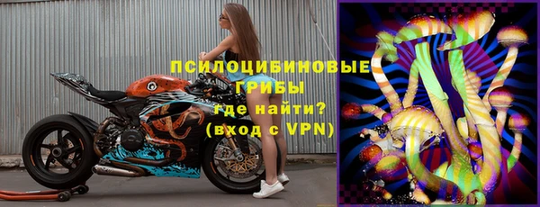 тгк Алексин