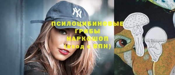 тгк Алексин