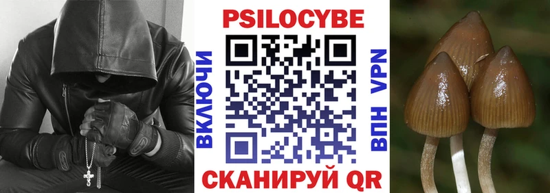 мега зеркало купить Алзамай Галлюциногенные грибы MAGIC MUSHROOMS